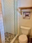 Recently remodeled bathroom- Walk-in Shower